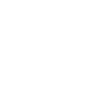 Anidev SSO